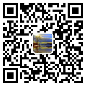 自動(dòng)上料攪拌車